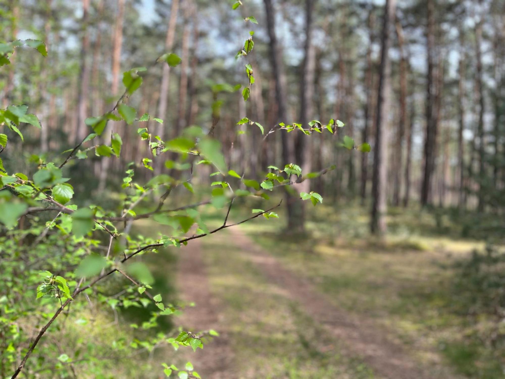 Ferienhaus Fjola Schenkendobern Bagian luar foto