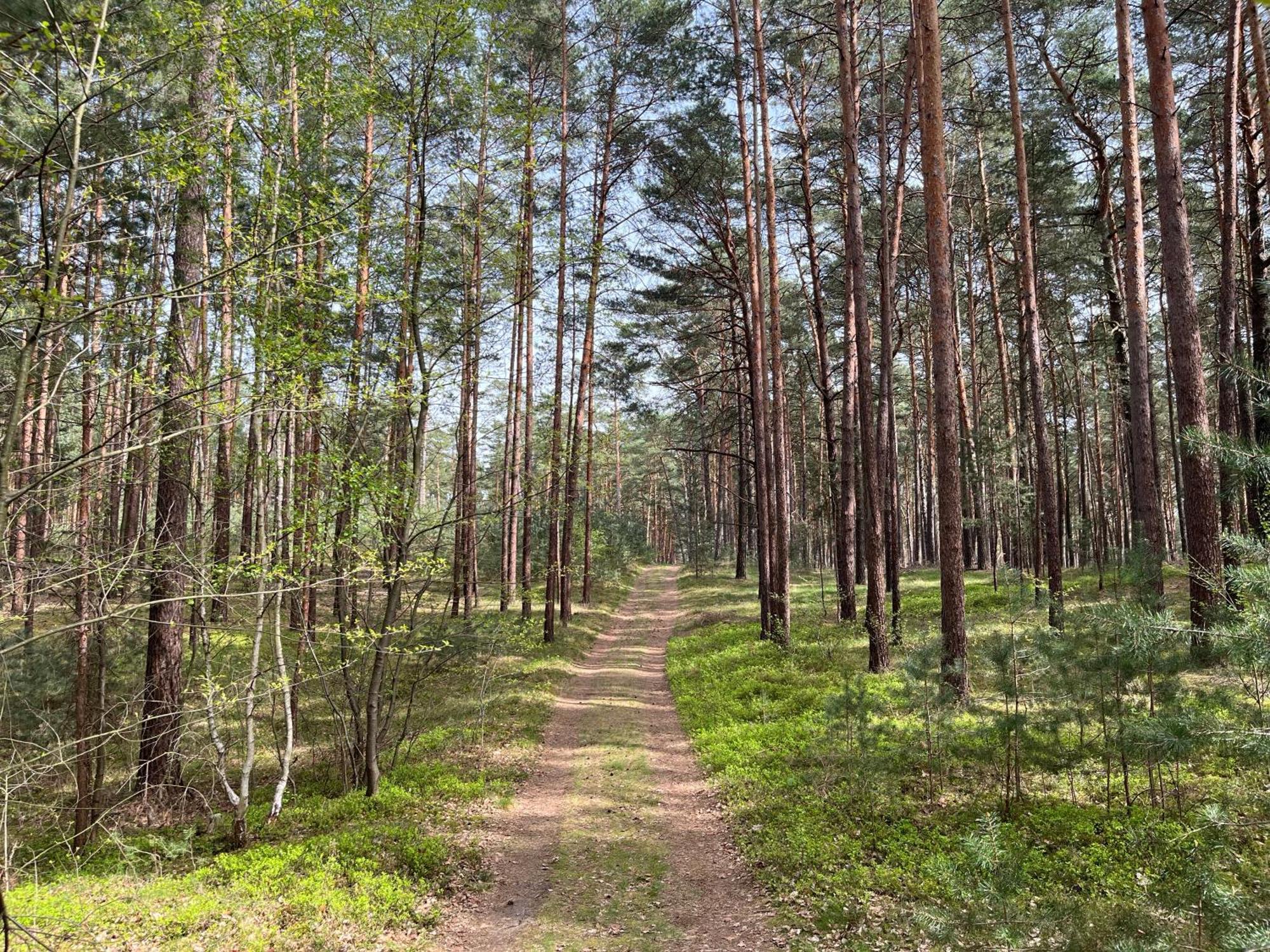Ferienhaus Fjola Schenkendobern Bagian luar foto