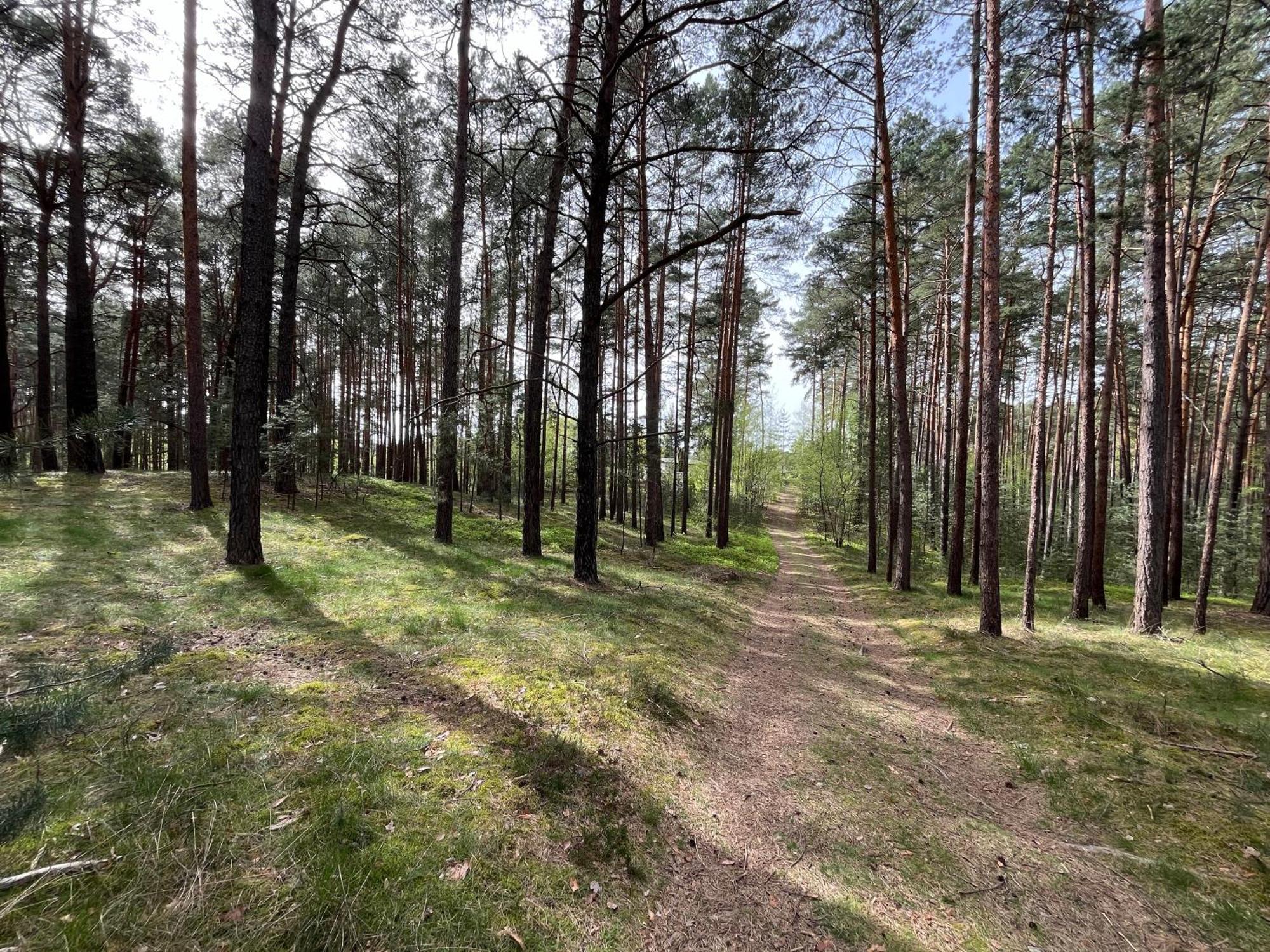 Ferienhaus Fjola Schenkendobern Bagian luar foto