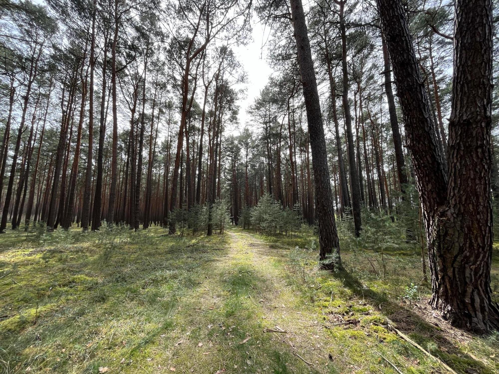 Ferienhaus Fjola Schenkendobern Bagian luar foto